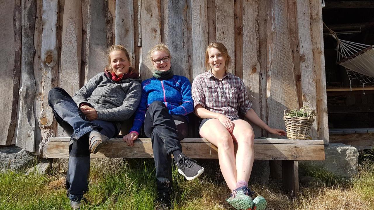 Heggjabygda Gjestegard - Historisk Tommerhus I Landlige Omgivelser 努尔菲尤尔埃德 外观 照片