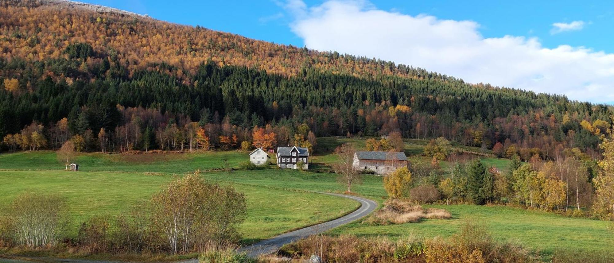 Heggjabygda Gjestegard - Historisk Tommerhus I Landlige Omgivelser 努尔菲尤尔埃德 外观 照片